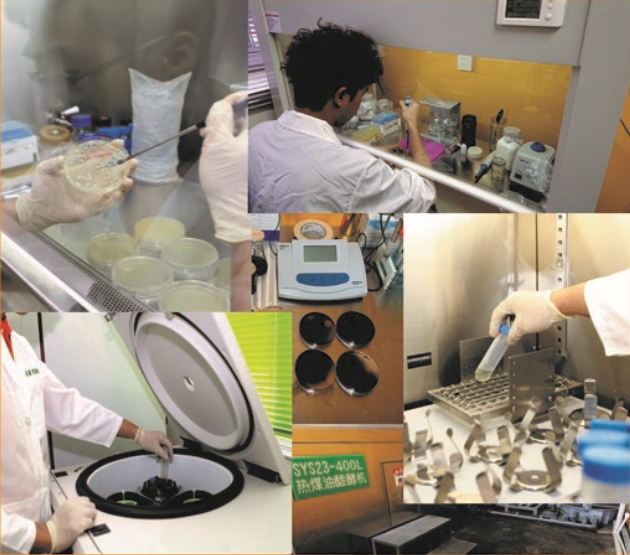 微生物的特性与种类